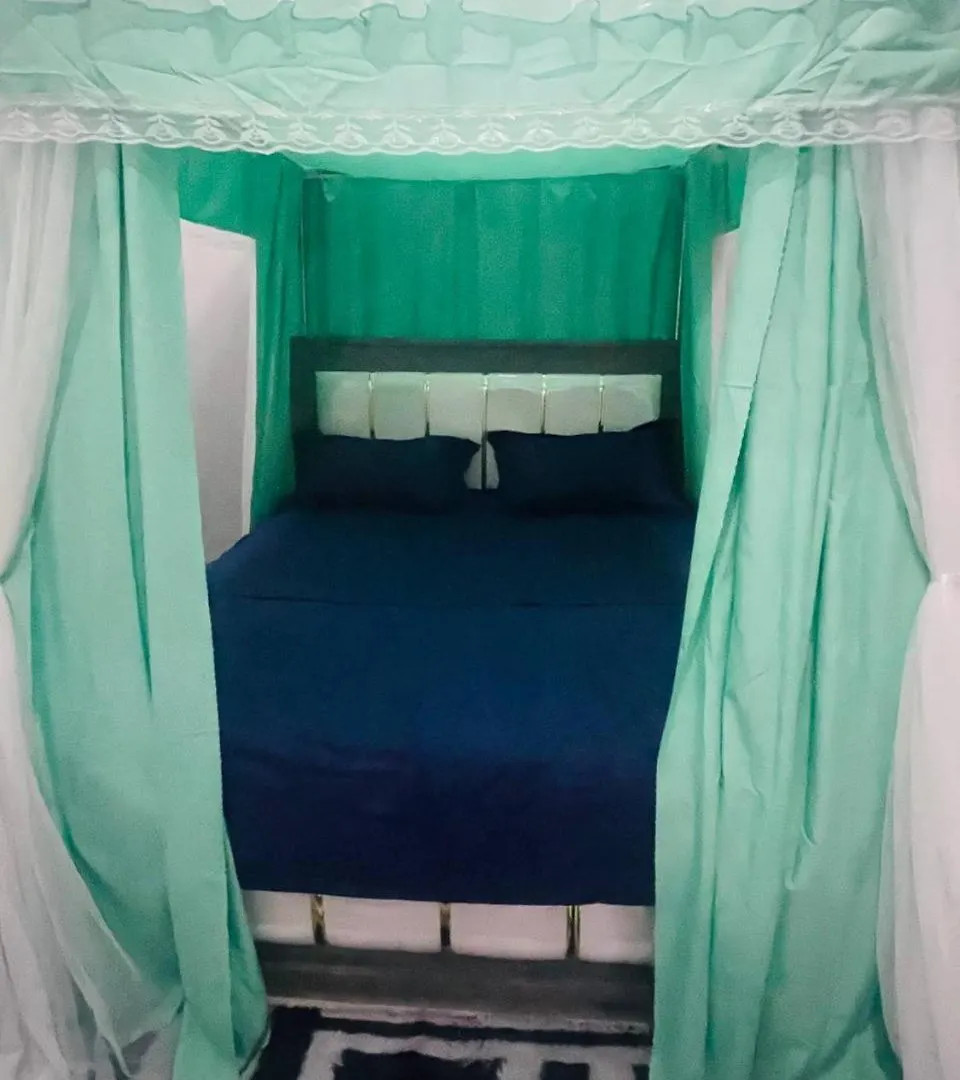 Hanso Furnished Apartments 坎帕拉